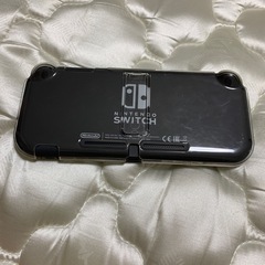Switchライト　グレー(最終値下げ)　の画像