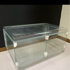 グラスハーモニー600の画像