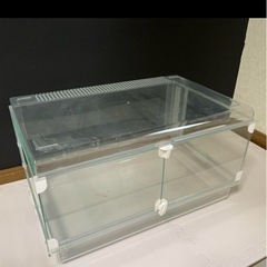 グラスハーモニー600の画像