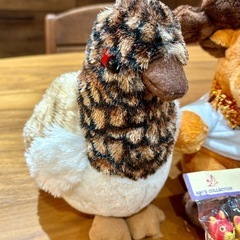 籠の中は大騒ぎ バリ
で購入した大小のバリ猫とぬいぐるみセット カゴ付きの画像