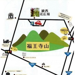 綾西花広場　めだか　メダカ　めだか販売　めだかすくい　フリマ　神楽 - 広島市