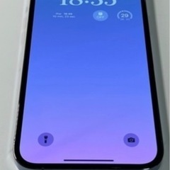 アップル 13 Pro Max I phone 13 promax 