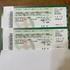 6/12 ホークスvs巨人戦　A指定席ペアチケット