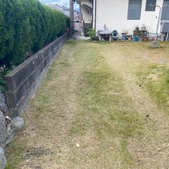 これからの時期、草刈りお任せください！ - 剪定/造園