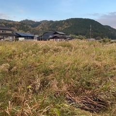 これからの時期、草刈りお任せください！ − 静岡県