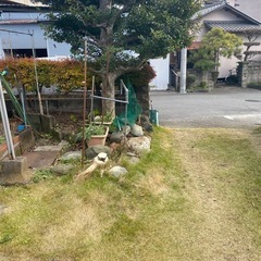 これからの時期、草刈りお任せください！ - 浜松市
