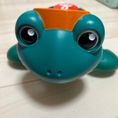 ベビーアインシュタイン