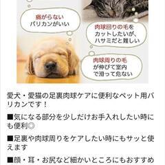 【本日限り】ペット用 バリカン 足裏 猫用 犬用 静音 電池式 ペット用バリカン 猫 犬 静か 怖くない コードレス (ブラック)の画像