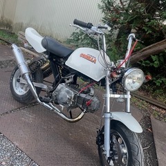 モンキー