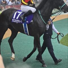 オークス