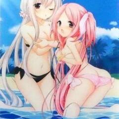 【新品未開封】ナデレボ！椿萌黄＆架月院乃蒼 B2タペストリー C...