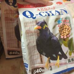 未開封 鳥のエサ 2袋 小動物の餌にも◯の画像
