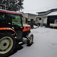 熊本産コシヒカリ玄米10㌔