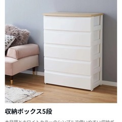 L収納ボックス