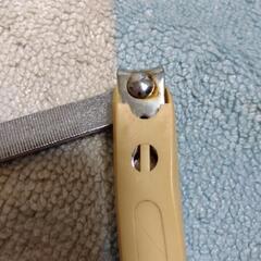 爪切りの画像