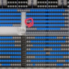 琉球ゴールデンキングス　　２枚組チケットの画像