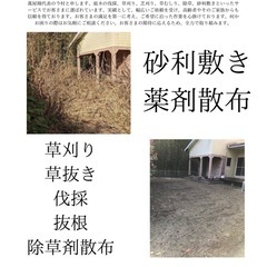 空き家の草刈り 庭木の伐採