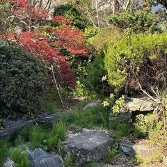 庭の石の画像
