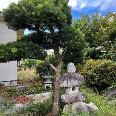 庭の石の画像