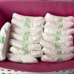 サルバ紙パンツの画像