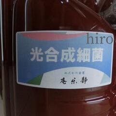 PSB 4.5L(光合成細菌) 1.5L×3本 ゾウリムシ500...