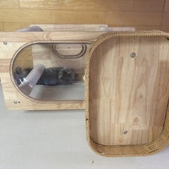 キャットタワーの画像