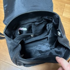 ピンクラテリュックの画像
