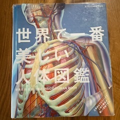 世界で一番美しい人体図鑑