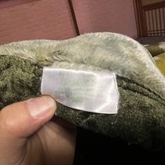 あったか〜い　毛布の画像