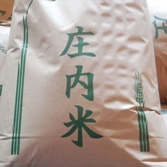 手渡し　白米つや姫20キロ