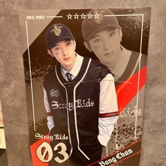 straykids♡大人stay集まれ〜♡ − 東京都