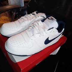 ナイキ　BIG　NIKE　Low　29cm