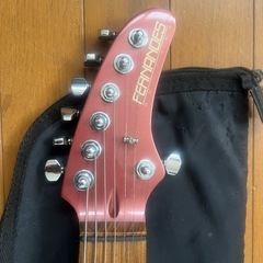 超希少FERNANDES ZO-7の画像