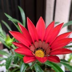 自分のトリセツを作る💌、マヤ暦初級講座を受けてみませんか？