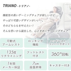 ゲーミングチェアー TRIANO(トリアノ)の画像