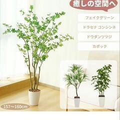 フェイクグリーン ドウダンツツジ ドラセナ コンシンネ カポック...
