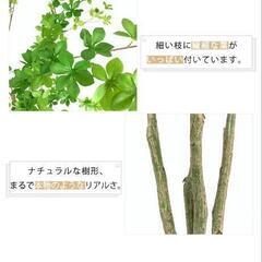 フェイクグリーン ドウダンツツジ ドラセナ コンシンネ カポック 157~160cmの画像