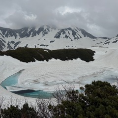 春の花を見つけに里山に登ってみよう - メンバー募集