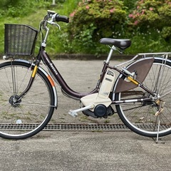 009 ブリジストン電動アシスト自転車