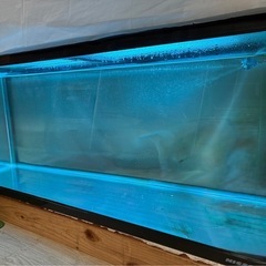 1200曲げ水槽ニッソーの画像