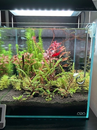 2/15までに取りに来て頂ける方のみ2万円でお譲りさせていただきます