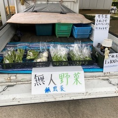 無人100円野菜