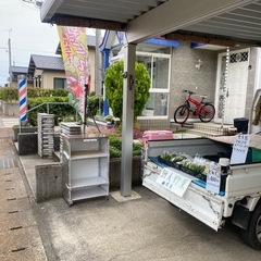 無人100円野菜