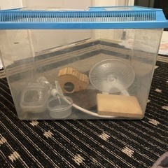 プラスチック　虫かご　水槽　ハムスター