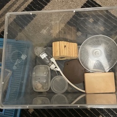 プラスチック　虫かご　水槽　ハムスターの画像