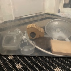 プラスチック　虫かご　水槽　ハムスターの画像
