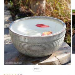 メダカ飼育用睡蓮鉢　直径約40cm高さ約20cm