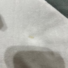 サメの大きなぬいぐるみの画像