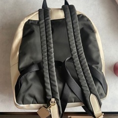 【最終値下げ】COACHミニリュックの画像