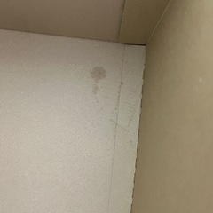 【もうすぐ処分】無印良品　ダンボール衣装ケース　の画像